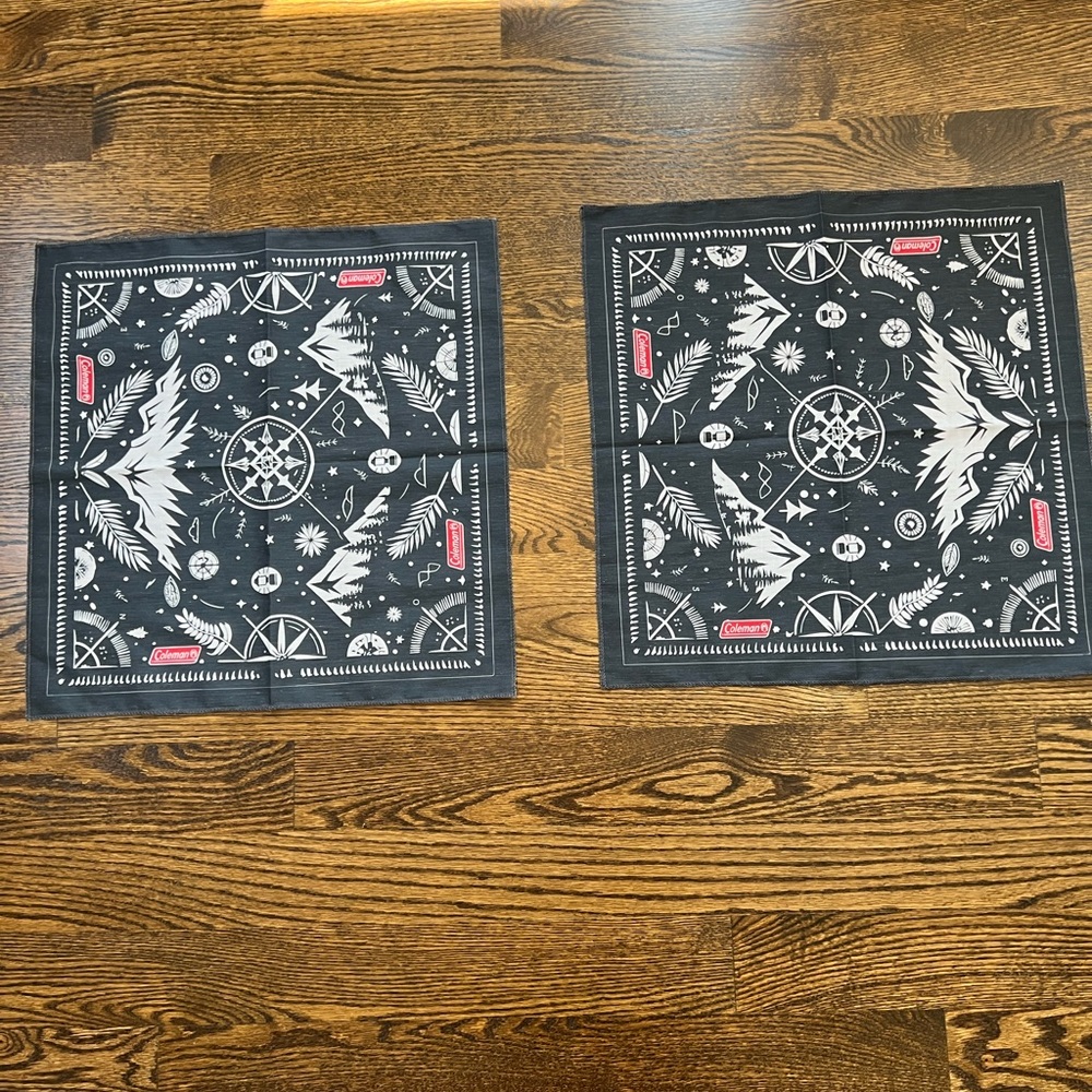 Coleman Blue and White Bandana Set